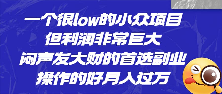 一个很low的小众项目，但利润非常巨大，闷声发大财的首选副业，月入过万-即时风口网