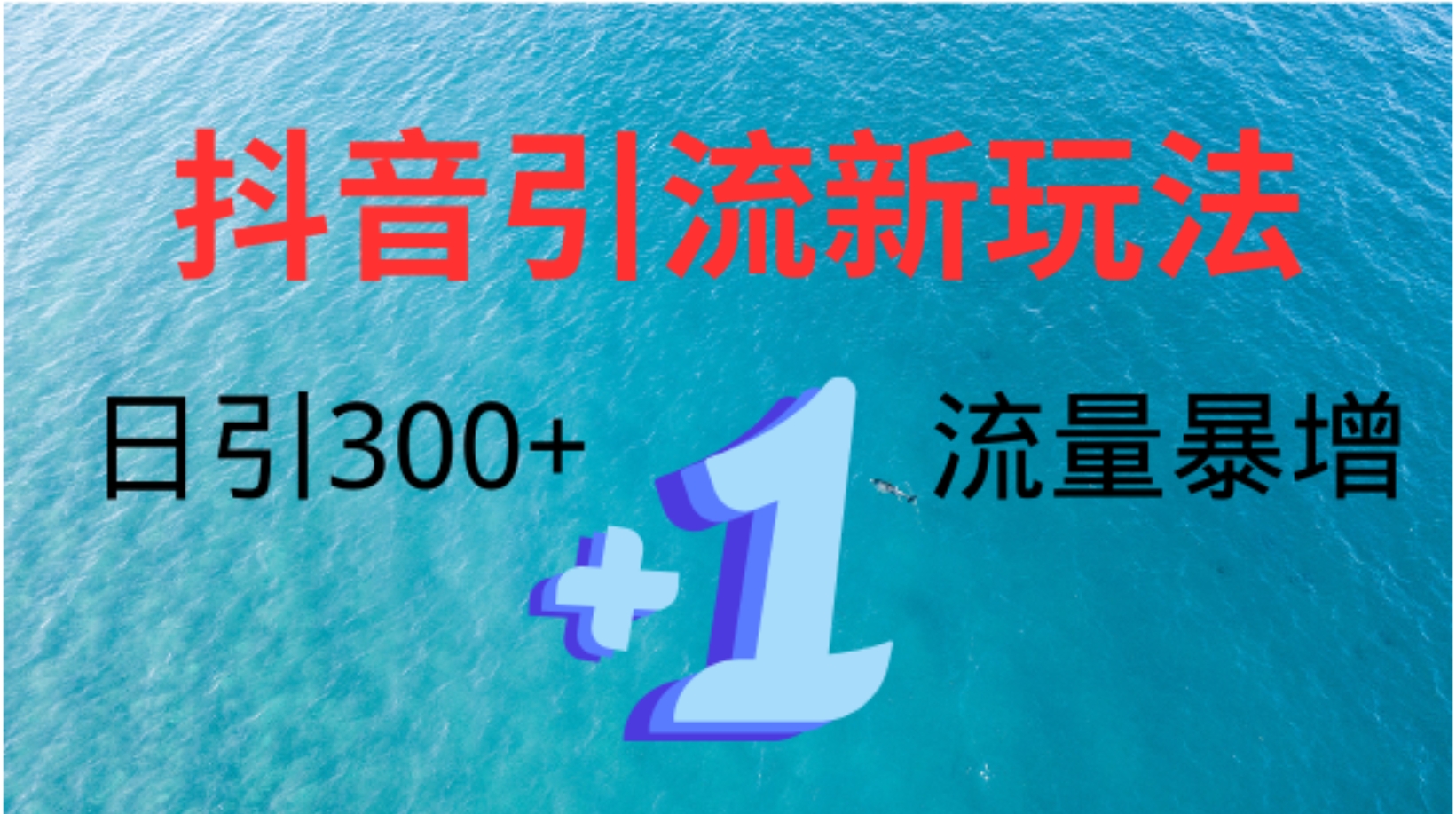 创业粉高效引流，抖音工具号玩法4.0，日引300+-即时风口网