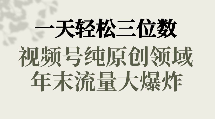 一天轻松三位数，视频号纯原创领域，春节童子送祝福，年末流量大爆炸-即时风口网