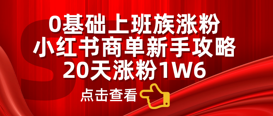 0基础上班族涨粉，小红书商单新手攻略，20天涨粉1.6w-即时风口网