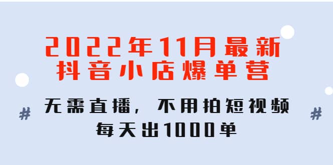 2022年11月最新抖音小店爆单训练营：无需直播，不用拍短视频，每天出1000单-即时风口网