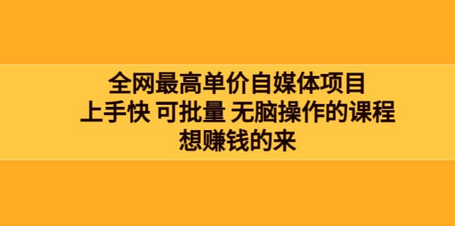 全网最单高价自媒体项目：上手快 可批量 无脑操作的课程，想赚钱的来-即时风口网