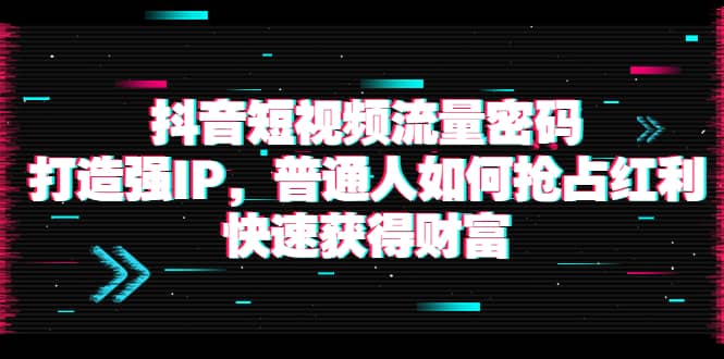 抖音短视频流量密码：打造强IP，普通人如何抢占红利，快速获得财富-即时风口网