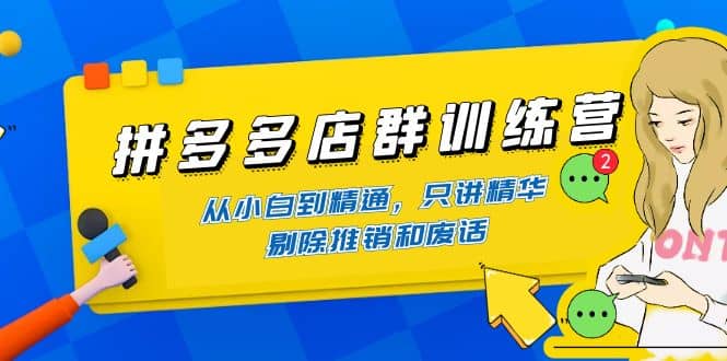 拼多多店群训练营：从小白到精通，只讲精华，剔除推销和废话-即时风口网