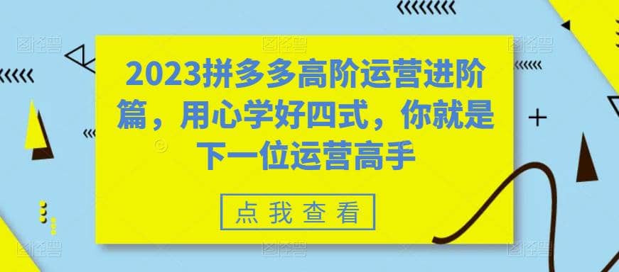 2023拼多多高阶运营进阶篇，用心学好四式，你就是下一位运营高手-即时风口网