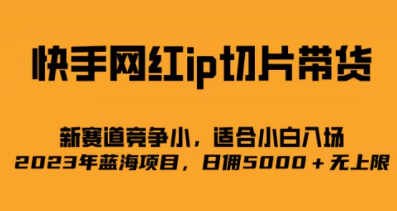 快手网红ip切片新赛道，竞争小事，适合小白 2023蓝海项目-即时风口网