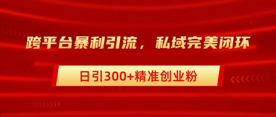 跨平台暴力引流，私域完美闭环，日引300+精准创业粉-即时风口网