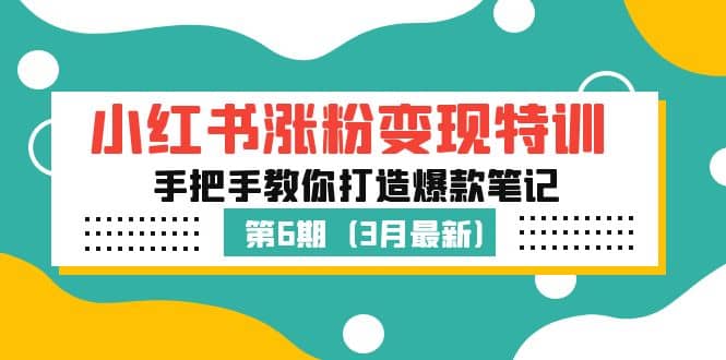 小红书涨粉变现特训·第6期，手把手教你打造爆款笔记（3月新课）-即时风口网