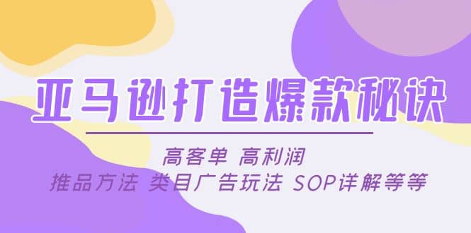 亚马逊打造爆款秘诀：高客单 高利润 推品方法 类目广告玩法 SOP详解等等-即时风口网