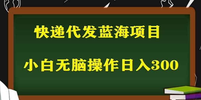 2023最新蓝海快递代发项目，小白零成本照抄-即时风口网