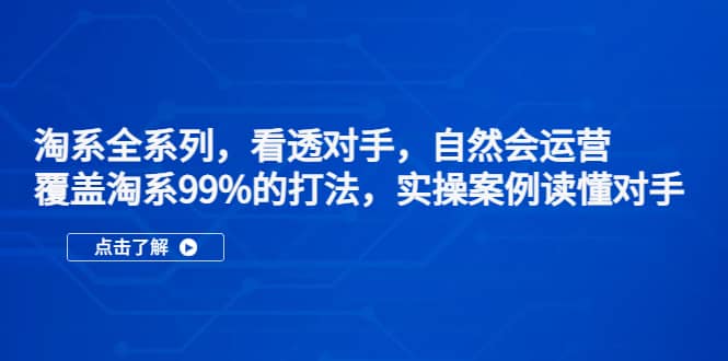 淘系全系列，看透对手，自然会运营，覆盖淘系99%·打法，实操案例读懂对手-即时风口网