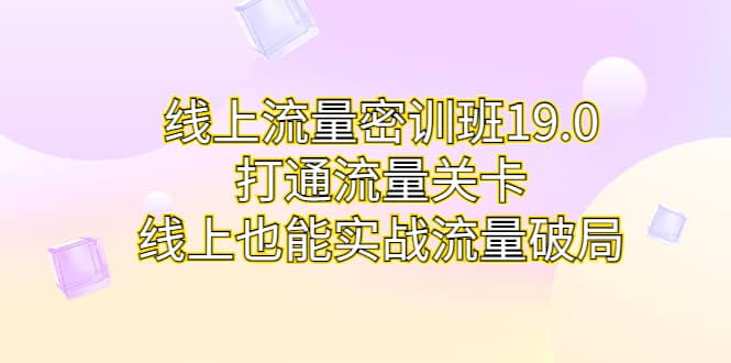 线上流量密训班19.0，打通流量关卡，线上也能实战流量破局-即时风口网