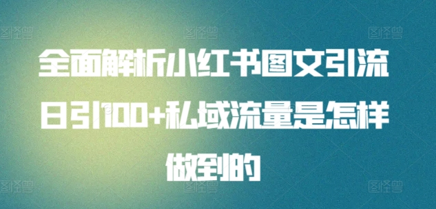 日引流100私域流量小红书图文是怎样做到的全面解析-即时风口网