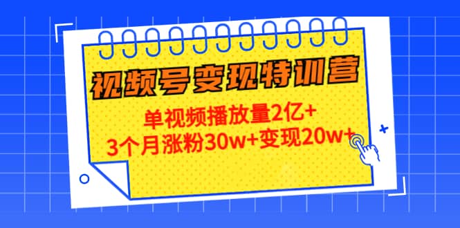 20天视频号变现特训营：单视频播放量2亿+-即时风口网