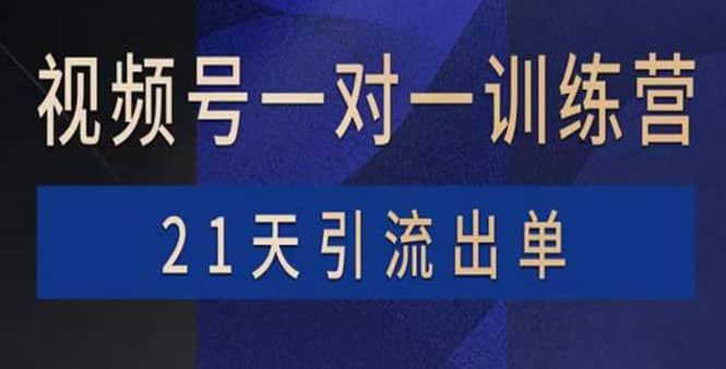 视频号训练营：带货，涨粉，直播，游戏，四大变现新方向，21天引流出单-即时风口网