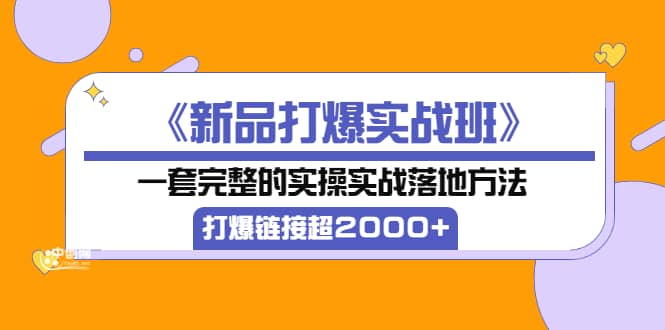 《新品打爆实战班》一套完整的实操实战落地方法，打爆链接超2000+（38节课)-即时风口网