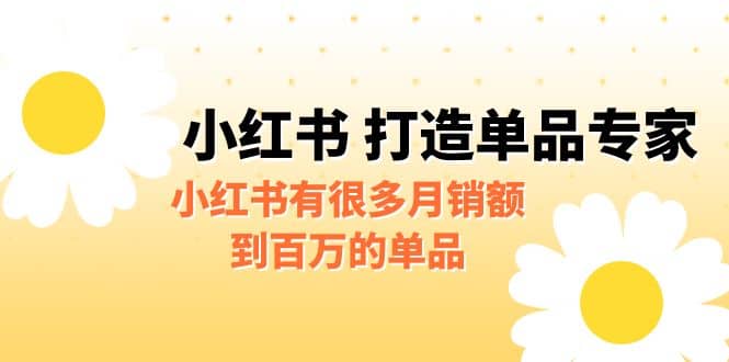 某公众号付费文章《小红书 打造单品专家》小红书有很多月销额到百万的单品-即时风口网