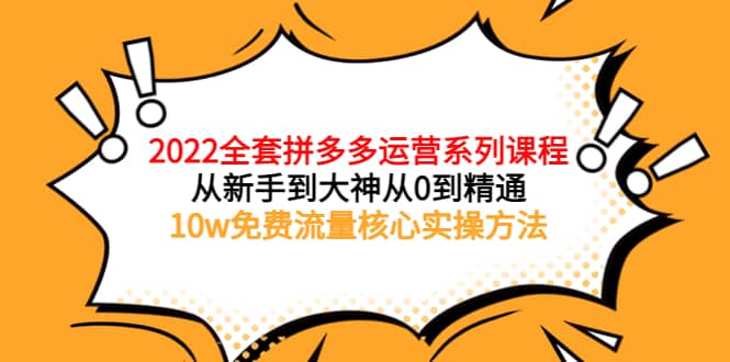 2022全套拼多多运营课程，从新手到大神从0到精通，10w免费流量核心实操方法-即时风口网