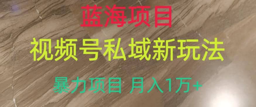 蓝海项目，视频号私域新玩法，暴力项目月入1万+【揭秘】-即时风口网