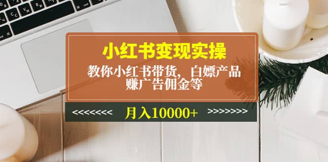 小红书变现实操：教你小红书带货，白嫖产品，赚广告佣金等-即时风口网