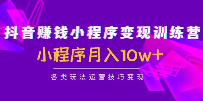 抖音小程序变现训练营：小程序各类玩法运营技巧变现-即时风口网