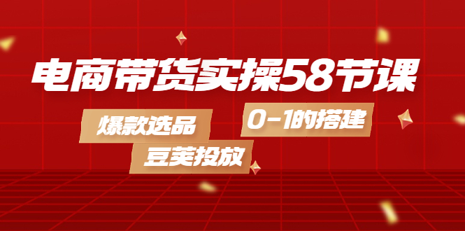 电商带货实操58节课，爆款选品，豆荚投放，0-1的搭建-即时风口网