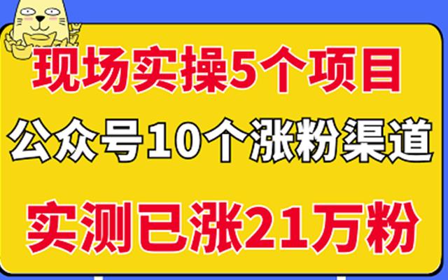 现场实操5个公众号项目，10个涨粉渠道，实测已涨21万粉！-即时风口网