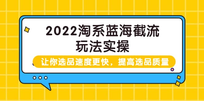 2022淘系蓝海截流玩法实操：让你选品速度更快，提高选品质量（价值599）-即时风口网