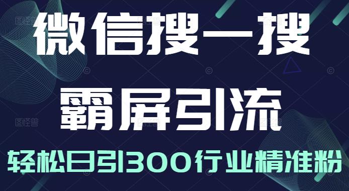 微信搜一搜霸屏引流课，打造被动精准引流系统，轻松日引300行业精准粉【无水印】-即时风口网