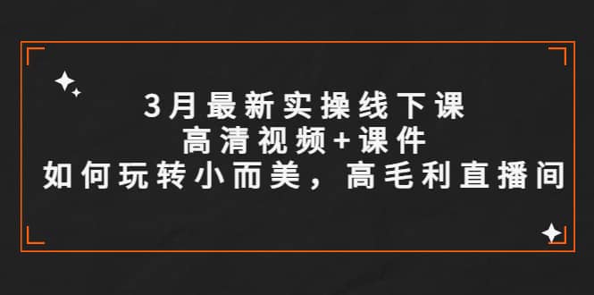 3月最新实操线下课高清视频+课件，如何玩转小而美，高毛利直播间-即时风口网