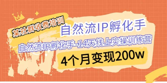 某社群收费培训：自然流IP 孵化手-14天线上实操训练营 4个月变现200w-即时风口网