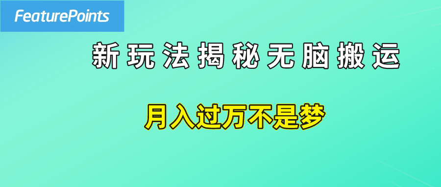 简单操作，每天50美元收入，搬运就是赚钱的秘诀！-即时风口网