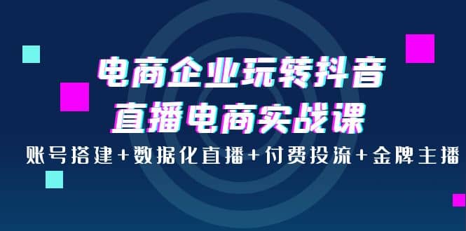 电商企业玩转抖音直播电商实战课：账号搭建+数据化直播+付费投流+金牌主播-即时风口网