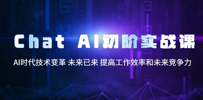 Chat AI初阶实战课，AI时代技术变革 未来已来 提高工作效率和未来竞争力-即时风口网