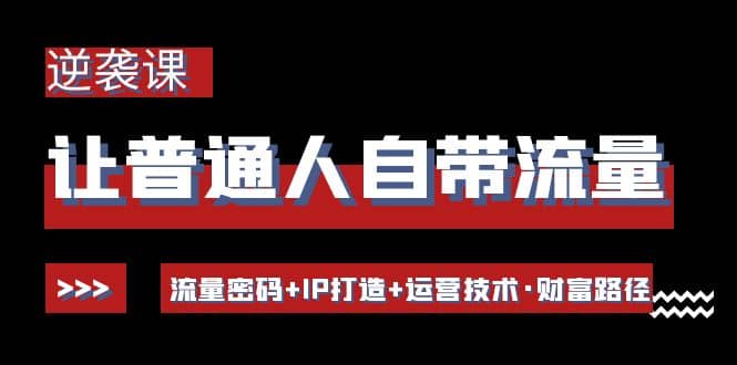 让普通人自带流量的逆袭课：流量密码+IP打造+运营技术·财富路径-即时风口网