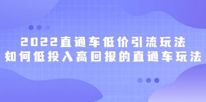 2022直通车低价引流玩法，教大家如何低投入高回报的直通车玩法-即时风口网