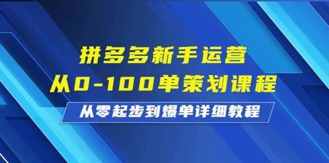 拼多多新手运营从0-100单策划课程，从零起步到爆单详细教程-即时风口网