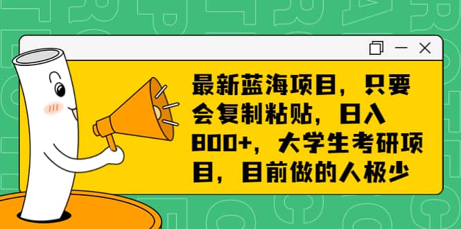 最新蓝海项目，只要会复制粘贴，日入800+，大学生考研项目，目前做的人极少-即时风口网