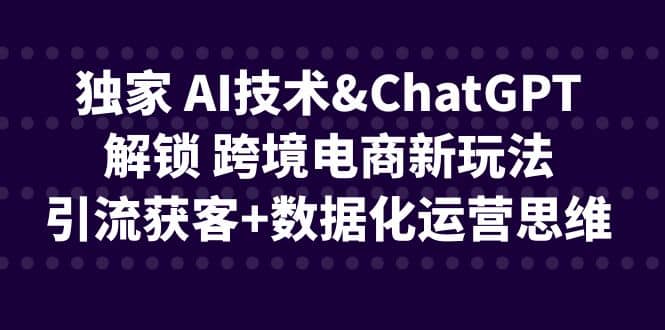 独家 AI技术ChatGPT解锁 跨境电商新玩法，引流获客+数据化运营思维-即时风口网