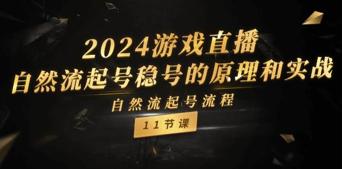 2024游戏直播-自然流起号稳号的原理和实战，自然流起号流程（11节）-即时风口网