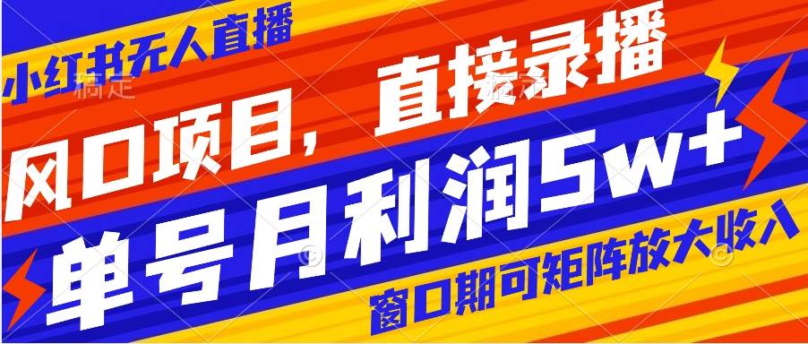 风口项目，小红书无人直播带货，直接录播，可矩阵，月入5w+-即时风口网