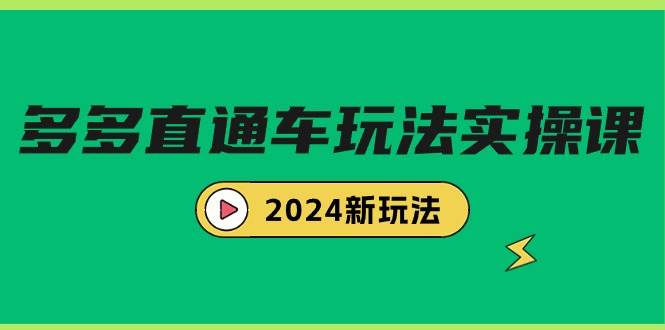 多多直通车玩法实战课，2024新玩法（7节课）-即时风口网