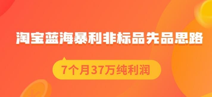 盗坤淘宝蓝海暴利非标品先品思路，7个月37万纯利润，压箱干货分享！【付费文章】-即时风口网