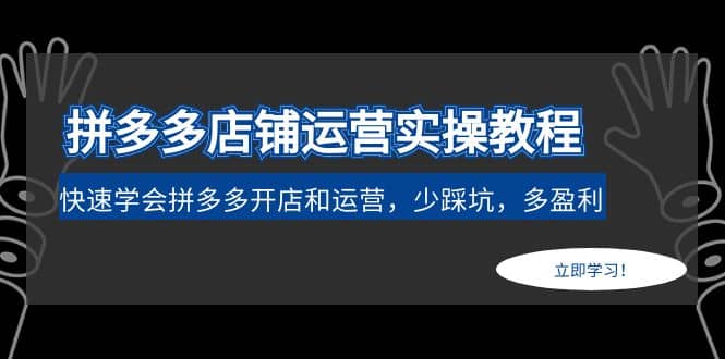 拼多多店铺运营实操教程：快速学会拼多多开店和运营，少踩坑，多盈利-即时风口网