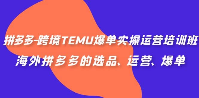 拼多多-跨境TEMU爆单实操运营培训班，海外拼多多的选品、运营、爆单-即时风口网