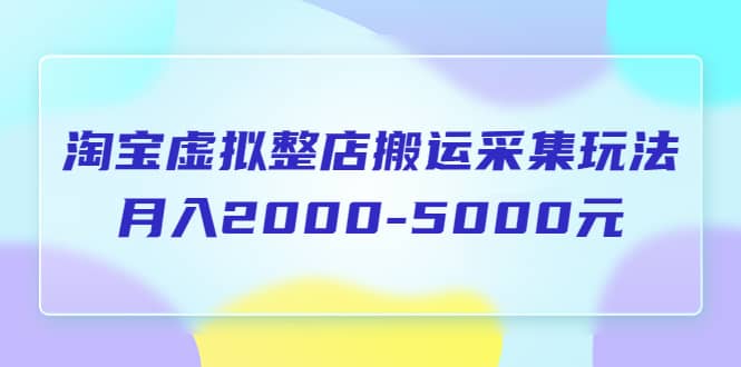 淘宝虚拟整店搬运采集玩法分享课：月入2000-5000元（5节课）-即时风口网