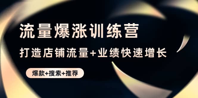 流量爆涨训练营：打造店铺流量+业绩快速增长 (爆款+搜索+推荐)-即时风口网