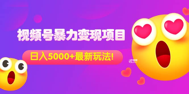 外面收费699的视频号暴力变现项目，日入5000+，简单易操作当天见效果-即时风口网