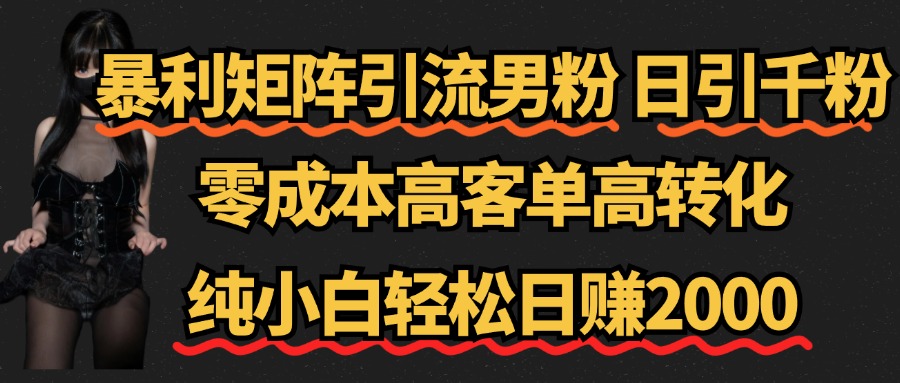 暴利矩阵引流男粉（日引千粉），零成本高客单高转化，纯小白轻松日赚2000+-即时风口网