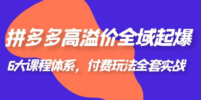 拼多多-高溢价 全域 起爆，6大课程体系，付费玩法全套实战-即时风口网